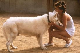 Kristy McNichol embraces the eponymous white dog, in a scene from Samuel Fuller&amp;#39;s film.